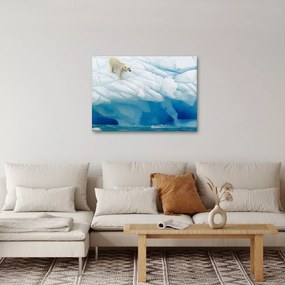 Tablou - Ursul polar (70x50 cm)
