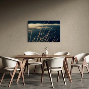 Tablou cu ierburi (90x60 cm)