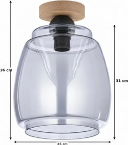 BRILAGI - LED plafonieră R GLASS 1xE27/60W/230V Ø 26 cm stejar/gri fumuriu