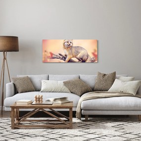 Tablou - Vulpea (120x50 cm)