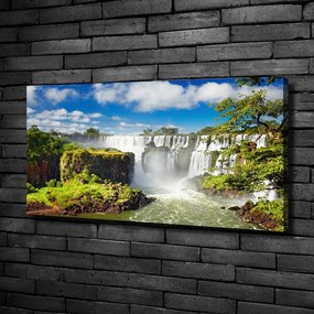 Print pe pânză Cascada argentina