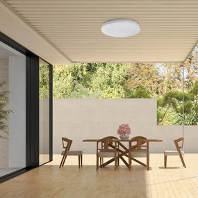 Plafoniera pentru exterior, Protectie IP44 Lowar D-41cm