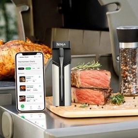 Termometru de bucatarie Ninja ProChef WP100EU, Bluetooth, Aplicatie mobila, Senzor de temperatura, Pana la 370°C, Negru/Argintiu