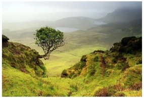 Fototapet Isle Of Skye Scoția