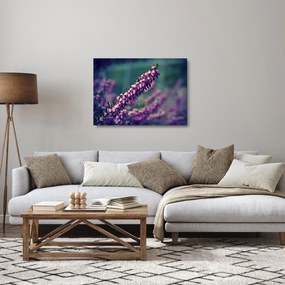 Tablou pe sticlă cu lavanda (70x50 cm)