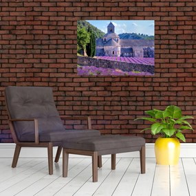 Tablou - Câmp de lavandă (70x50 cm)