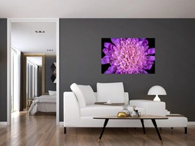 Tablou detailat cu floare (90x60 cm)