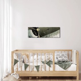 Tablou - Avion vechi cu elice (cu ceas) (90x30 cm)