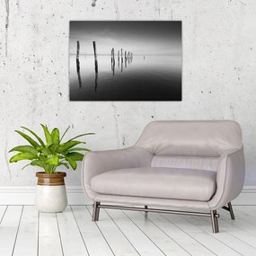 Tablou cu nivelul de lac alb negru (70x50 cm)
