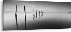 Tablou cu nivelul de lac alb negru (120x50 cm)