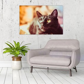 Tablou pisica neagră (90x60 cm)