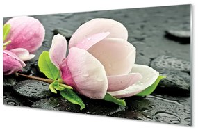 Tablouri acrilice pietre Magnolia