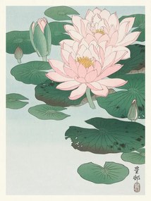 Reproducere Water Lily, Ohara Koson