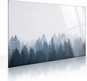 Tablou pe sticlă - Pădure cețoasă (70x50 cm)
