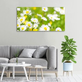 Imprimare tablou canvas Margarete