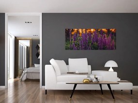 Tablou - Flori de lupin (120x50 cm)