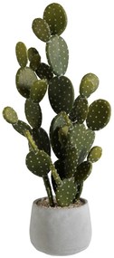 Cactus , Ciment, Verde, 21x21x66 cm