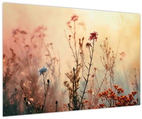 Tablou - Flori sălbatice (90x60 cm)