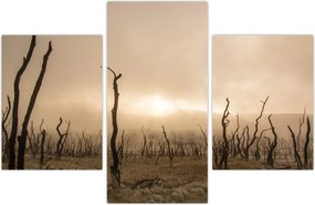 Tablou - Copaci goi (90x60 cm)