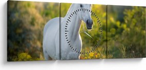 Tablou - Cal alb în poină (cu ceas) (90x30 cm)