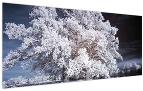 Tablou - Albă ca Zăpada Copac (120x50 cm)