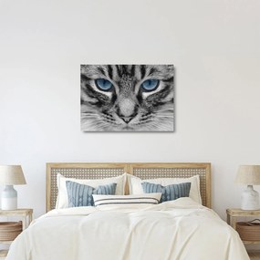Tablou pe sticlă cu pisica (70x50 cm)