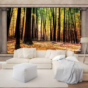 Fototapet - Pădure de toamnă (152,5x104 cm), în 8 de alte dimensiuni noi