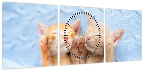 Tablou - Pisicuțe adormite (cu ceas) (90x30 cm)