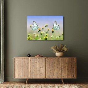 Tablou cu fluture pe floare (90x60 cm)