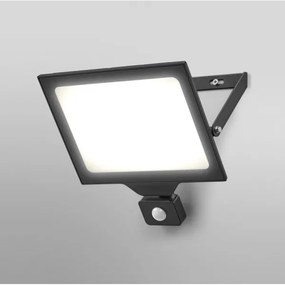 Ledvance - Proiector LED exterior cu senzor FLOODLIGHT, 100 W, 230 V, IP44