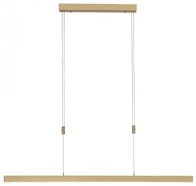 Lustră LED dimabilă pe cablu Paul Neuhaus 2568-60 ADRIANA LED/14W/230V alămie