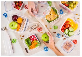 Caserole 5 buc. pentru mâncare Freshbox – Tescoma