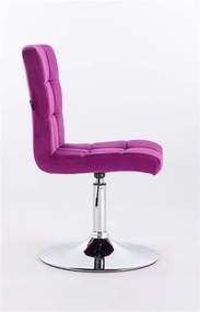 HR7009N Scaun Catifea Fucsia