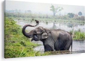 Tablou - Elefant de scăldat (90x60 cm)