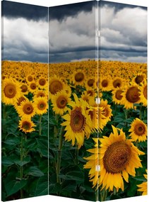 Paravan - Câmpul de floarea soarelui (126x170 cm)