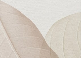 Tablou - Frunze texturate (70x50 cm)
