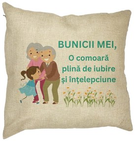 Perna Decorativa pentru Bunici 3, 40x40 cm, Husa Detasabila, Burduf