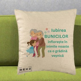 Cadou pentru Bunici - Perna Personalizata Bunicii Iubirea Infloreste cu Nepoata Teal, 40x40 cm, Bej, Husa Detasabila, Perna Inclusa, BEKZ®