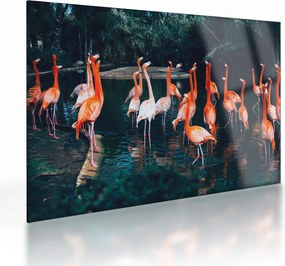 Tablou pe sticlă - turmă de flamingo (70x50 cm)