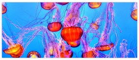 Tablou cu meduse în mare (120x50 cm)