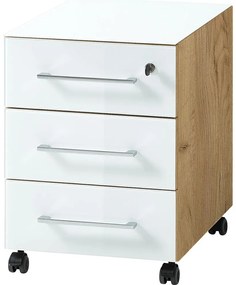 Dulap alb cu aspect de lemn de stejar 40x55 cm Monteria – Germania