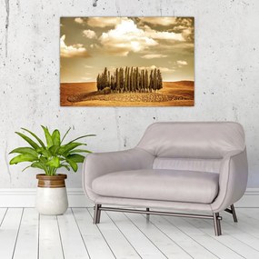 Tablou cu luncă (90x60 cm)