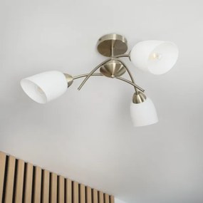 Lustră aplicată DONNA 3xE27/60W/230V patină