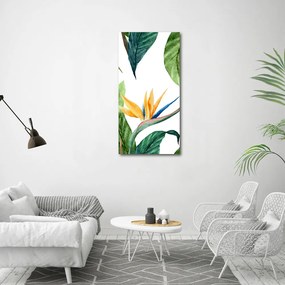 Tablou pe pe sticlă Strelitzia reginae