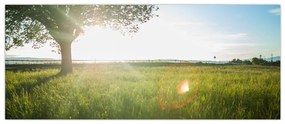 Tablou cu lunca în vară (120x50 cm)