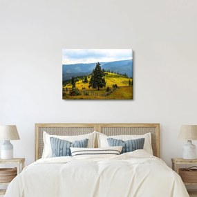 Tablou - Lunca de munte (70x50 cm)