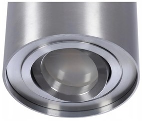 Spot aplicat tavan/plafon stil modern Bross 1 Aluminiu