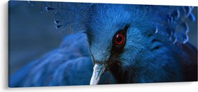 Tablou - Porumbel încoronat (120x50 cm)