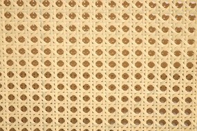 Fotoliu Ilario velvet/rattan - H77 cm