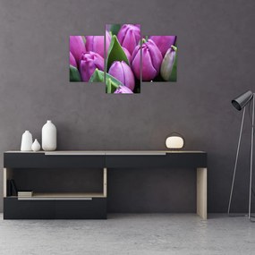 Tablou - florile lalelelor (90x60 cm)